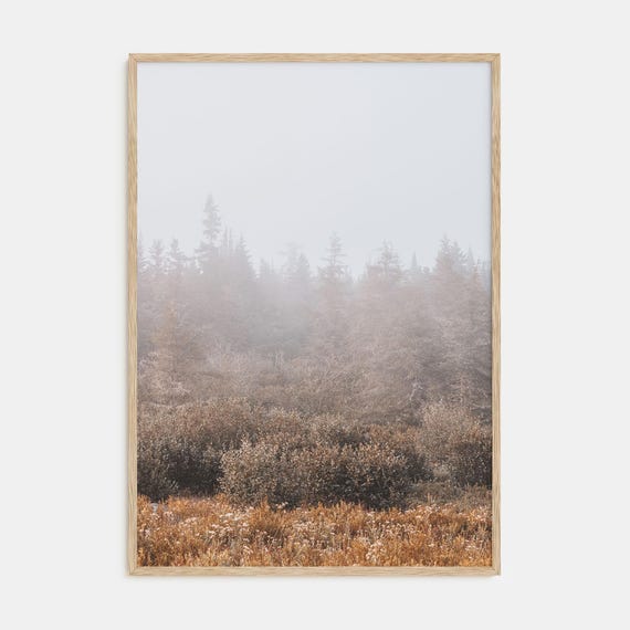 Fine Art Foggy Forest Print Nature Photography Poster Wall Art Decor Serene Landscape Home Office Decoration