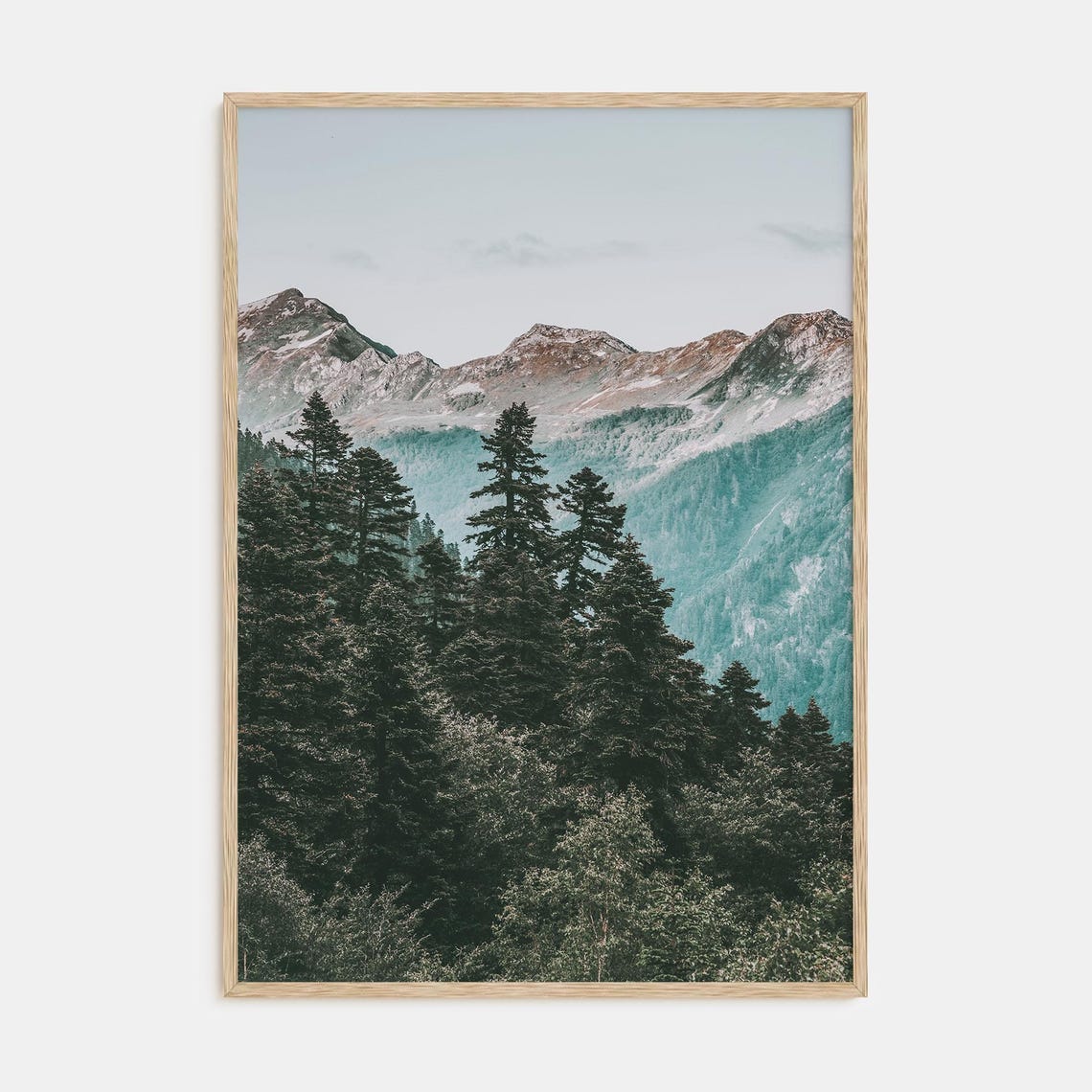 Dark Pine Forest With Misty Snow-Dusted Mountain Peaks Behind Poster