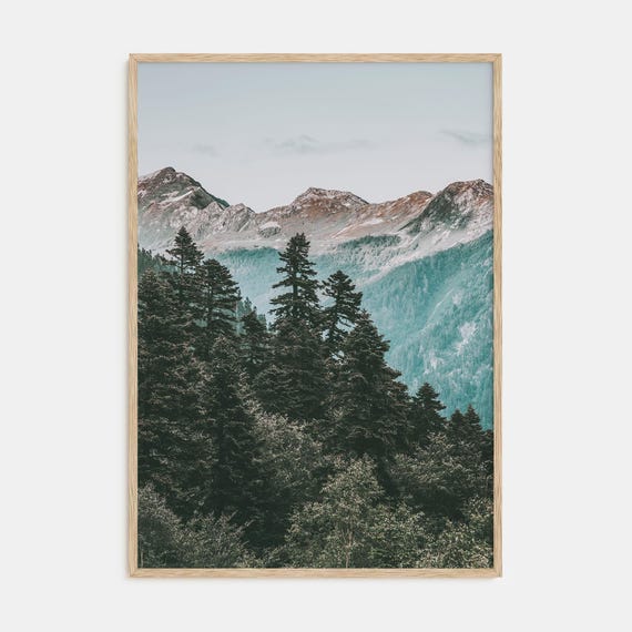 Fine Art Pine Tree Forest Print Nature Photography Poster Wall Art Decor Green Landscape Art Home Decoration Gift Idea