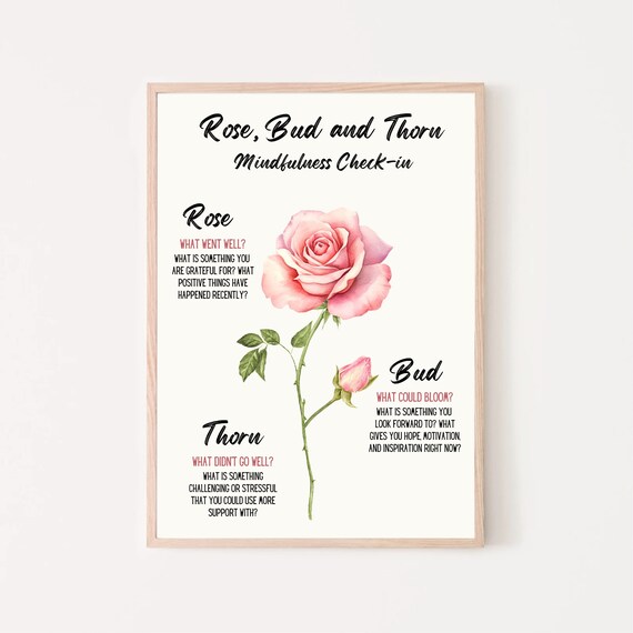Rose Bud And Thorn Mindfulness Check In Feelings Therapy Poster
