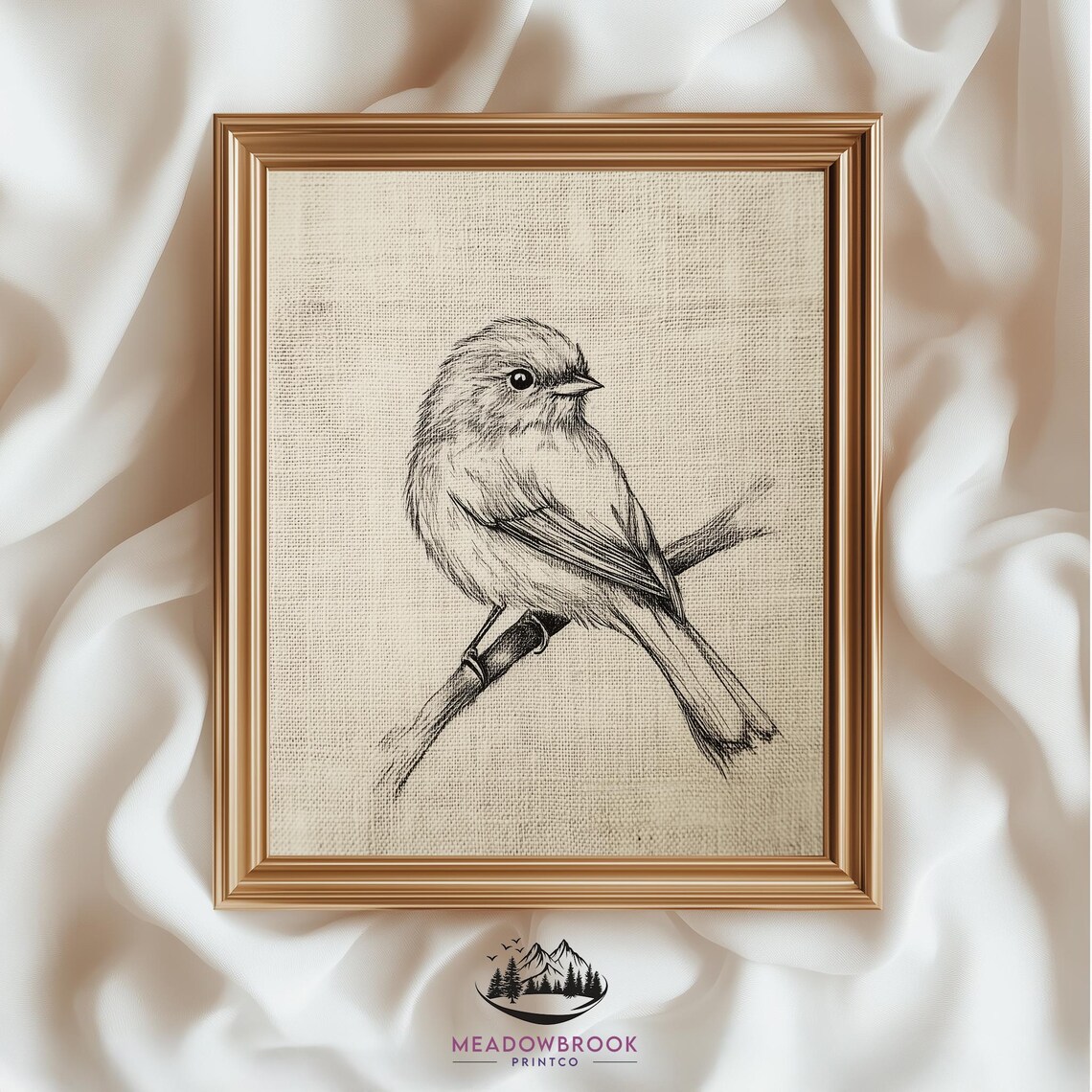 Sparrow Pencil Drawing Rustic Bird Sketch Art Print