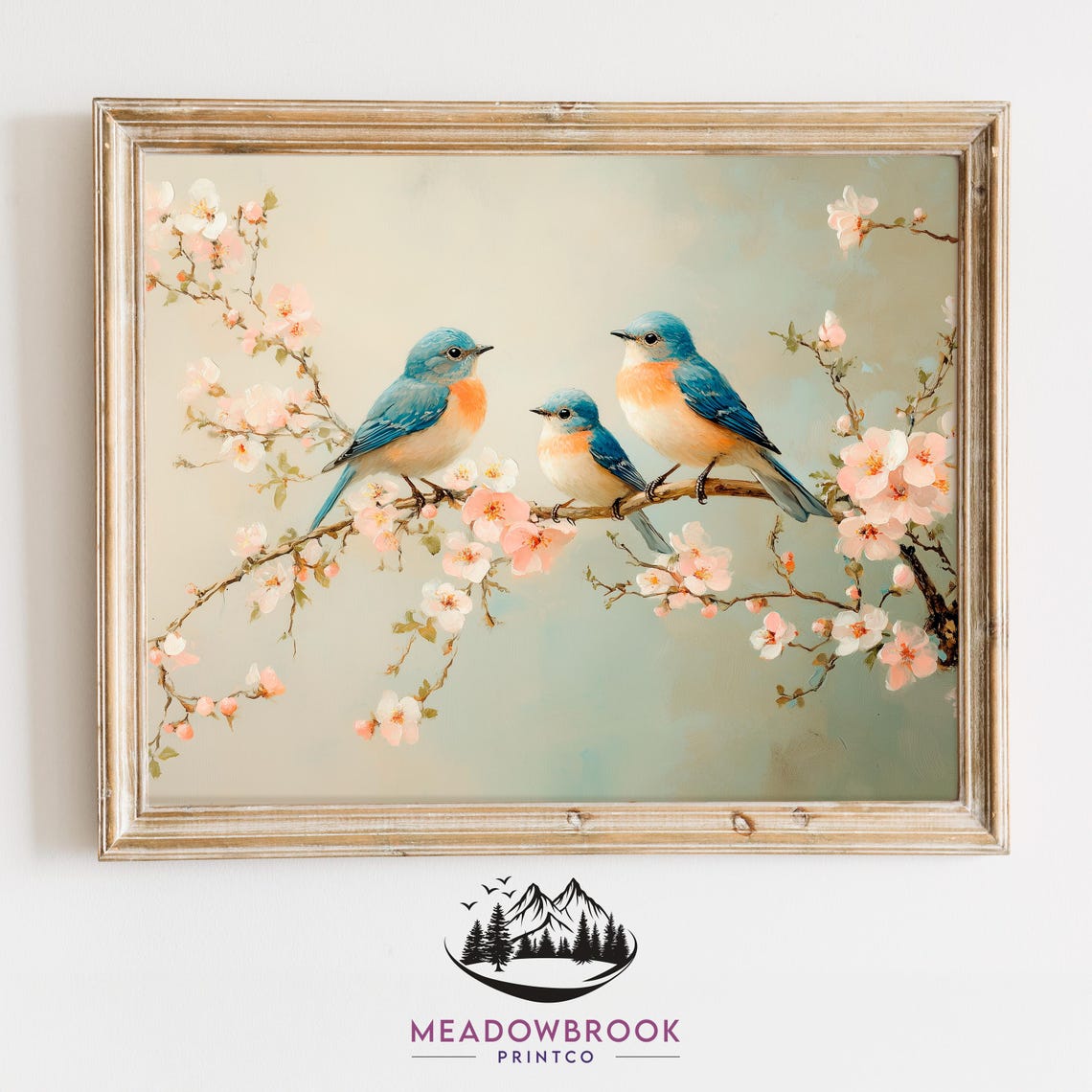 Three Bluebirds On Blooming Branch Spring Cherry Blossom Nature Poster