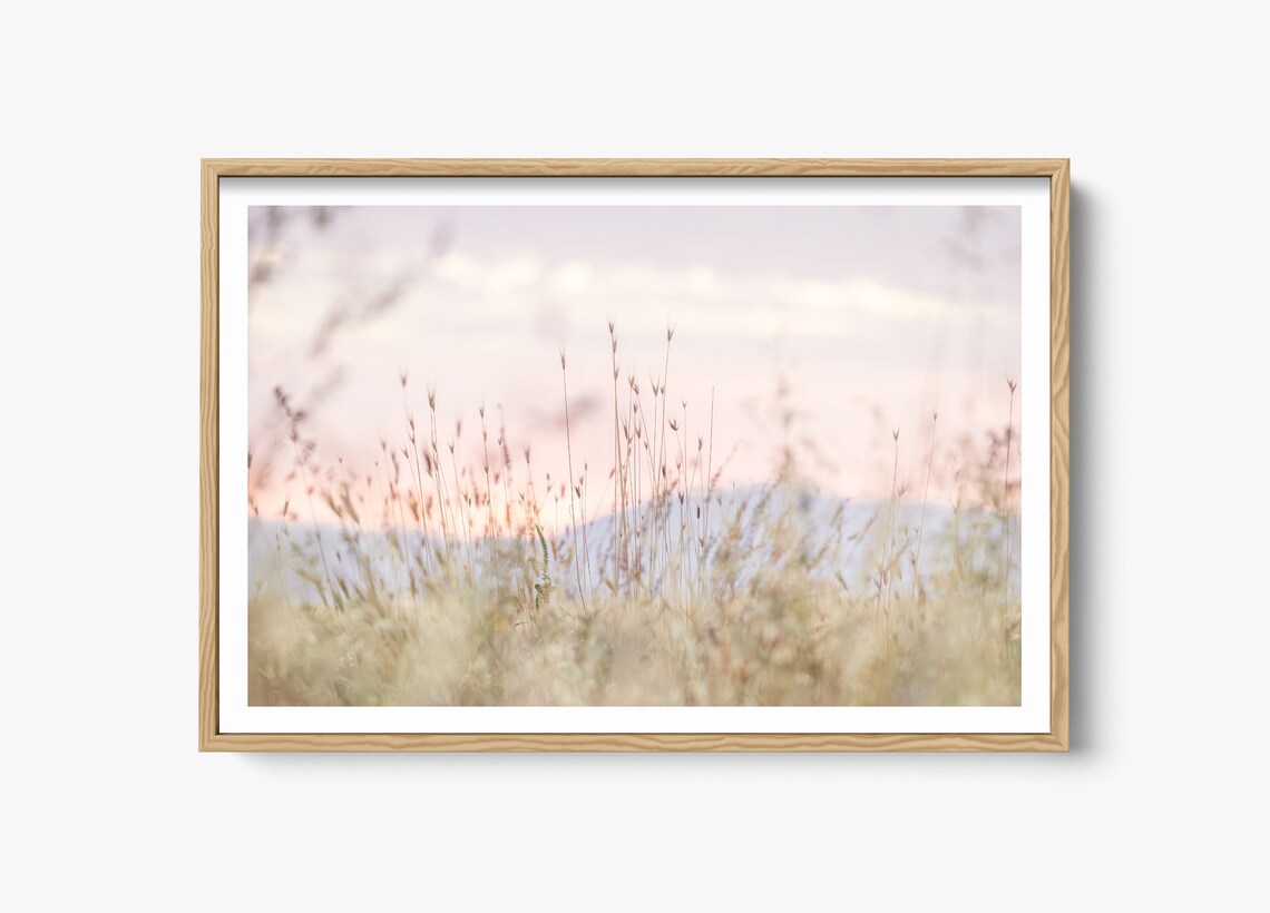 Provence Dawn In Provence, French Countryside Photo