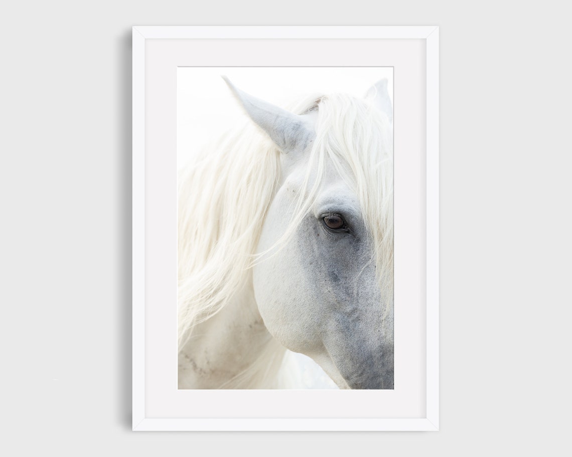 White Horse Print, Camargue Horse Photography