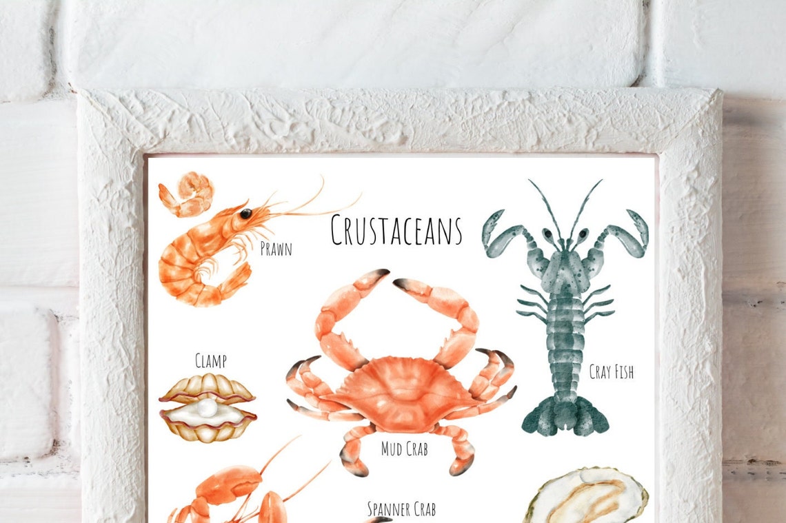 Watercolor Crustaceans Chart Crab Lobster Shrimp Oyster Art Poster - Image 2