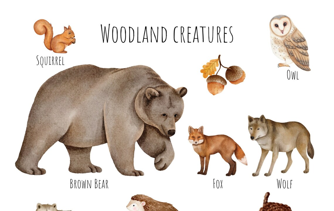 Woodland Creatures Poster, Forest Animal Print - Image 5