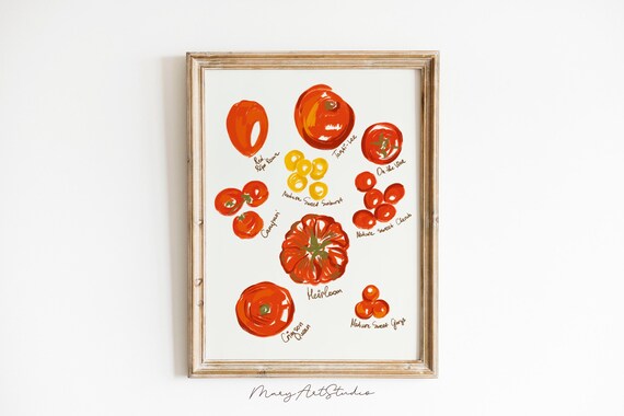 Tomato Hand Drawn Art Trendy Tomato Poster Farm Handmade Veggie Art Plant Lover Foodie Drawing Different Types Of Tomato
