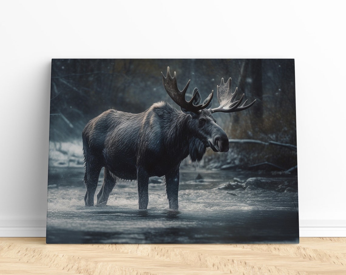 Bull Moose Standing in Water Snowy Forest Wildlife Photo Poster