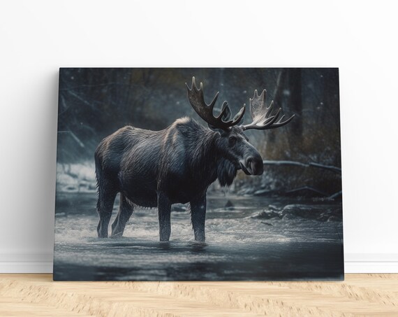 Bull Moose Standing in Water Snowy Forest Wildlife Photo Poster
