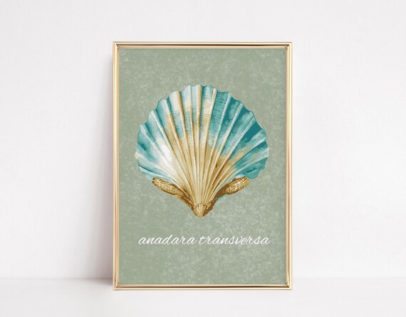 Scallop Shell Watercolor Sage Green Coastal Vintage Style Art Poster