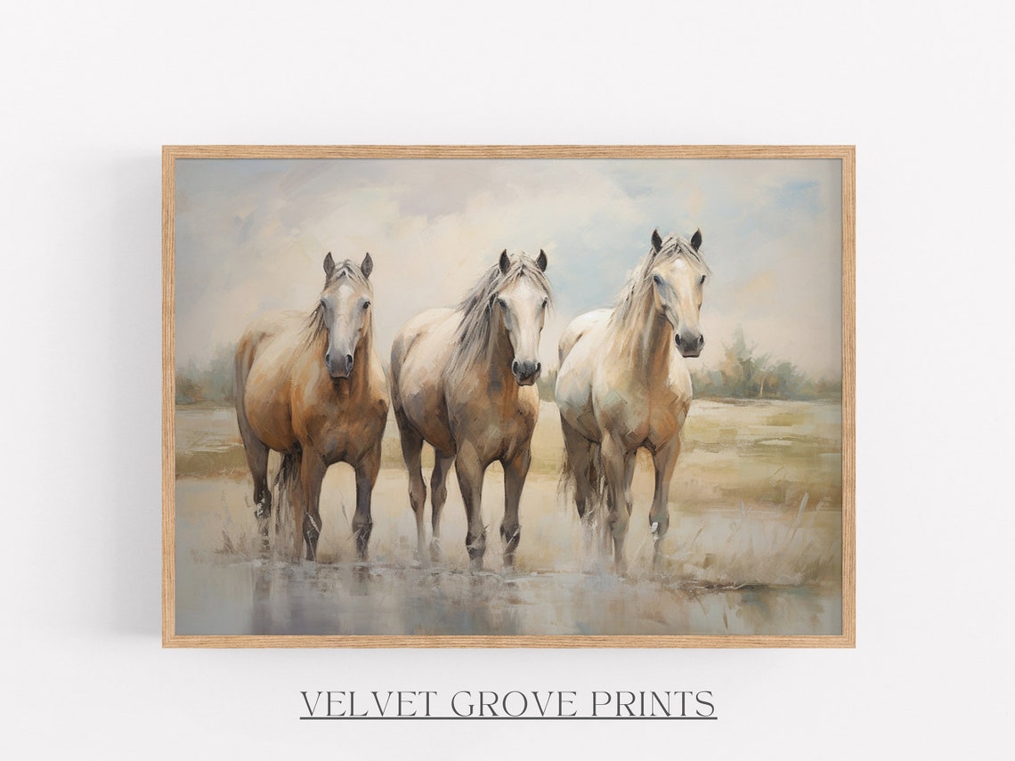 Three Horses Standing In Shallow Water Rustic Equine Art Poster