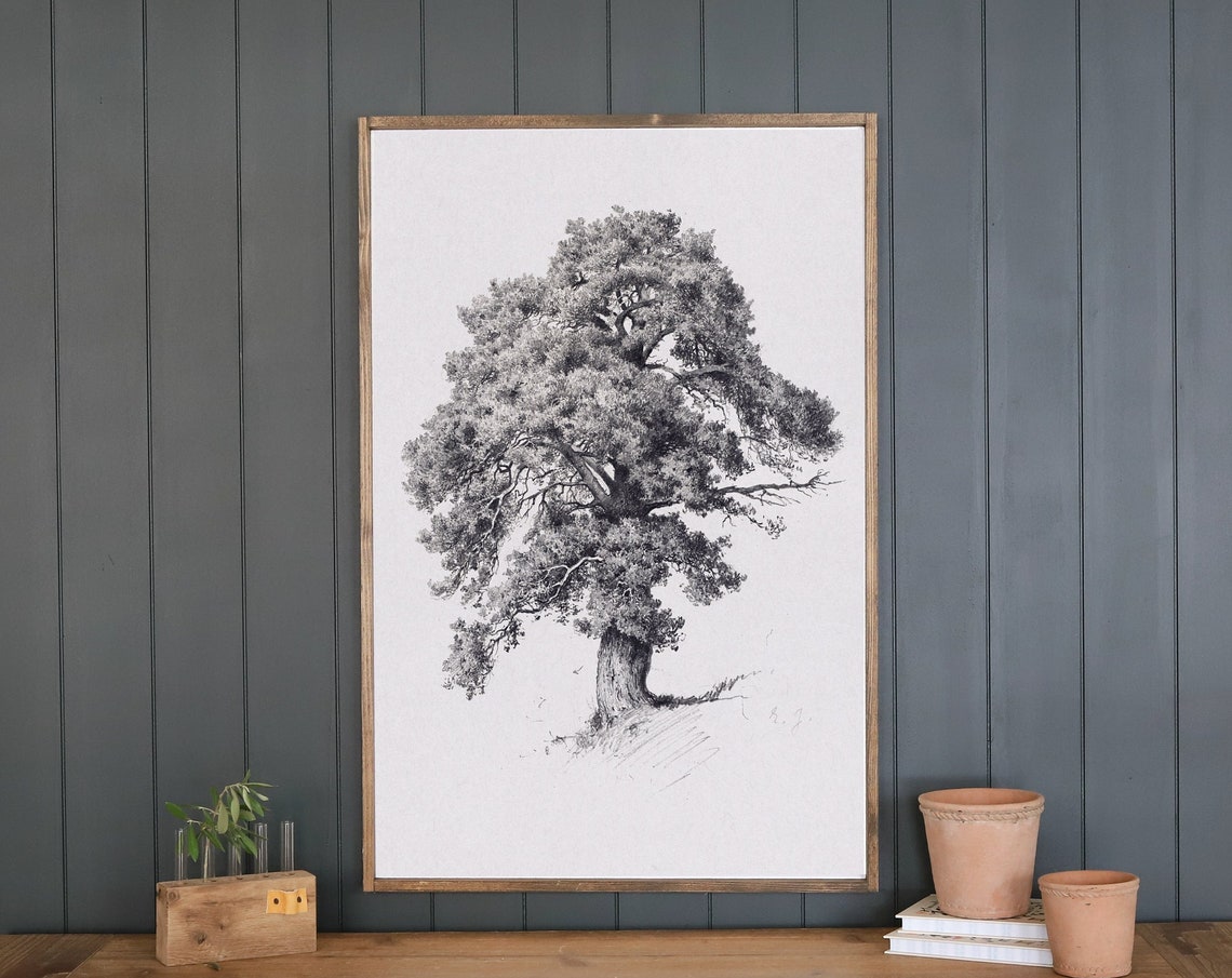Majestic Old Tree Monochrome Botanical Sketch Nature Wall Poster