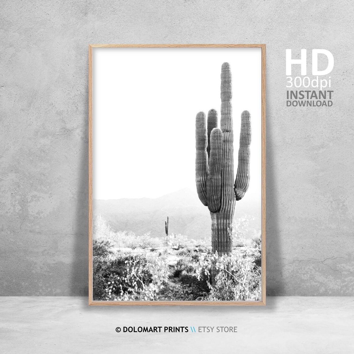 Cactus Print, Southwestern Black and White Art Print - Image 4