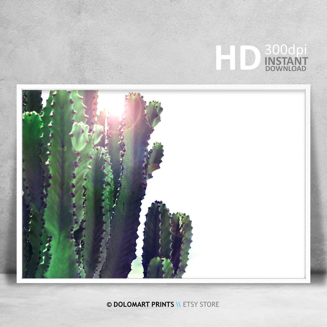 Green Cactus in Sunlight Minimalist Desert Photography Poster