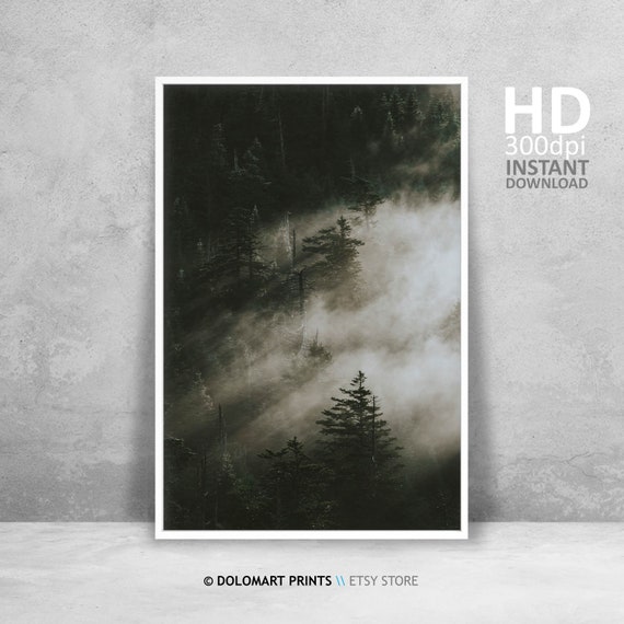 Minimalist Forest Landscape, Moody Nordic Art Print