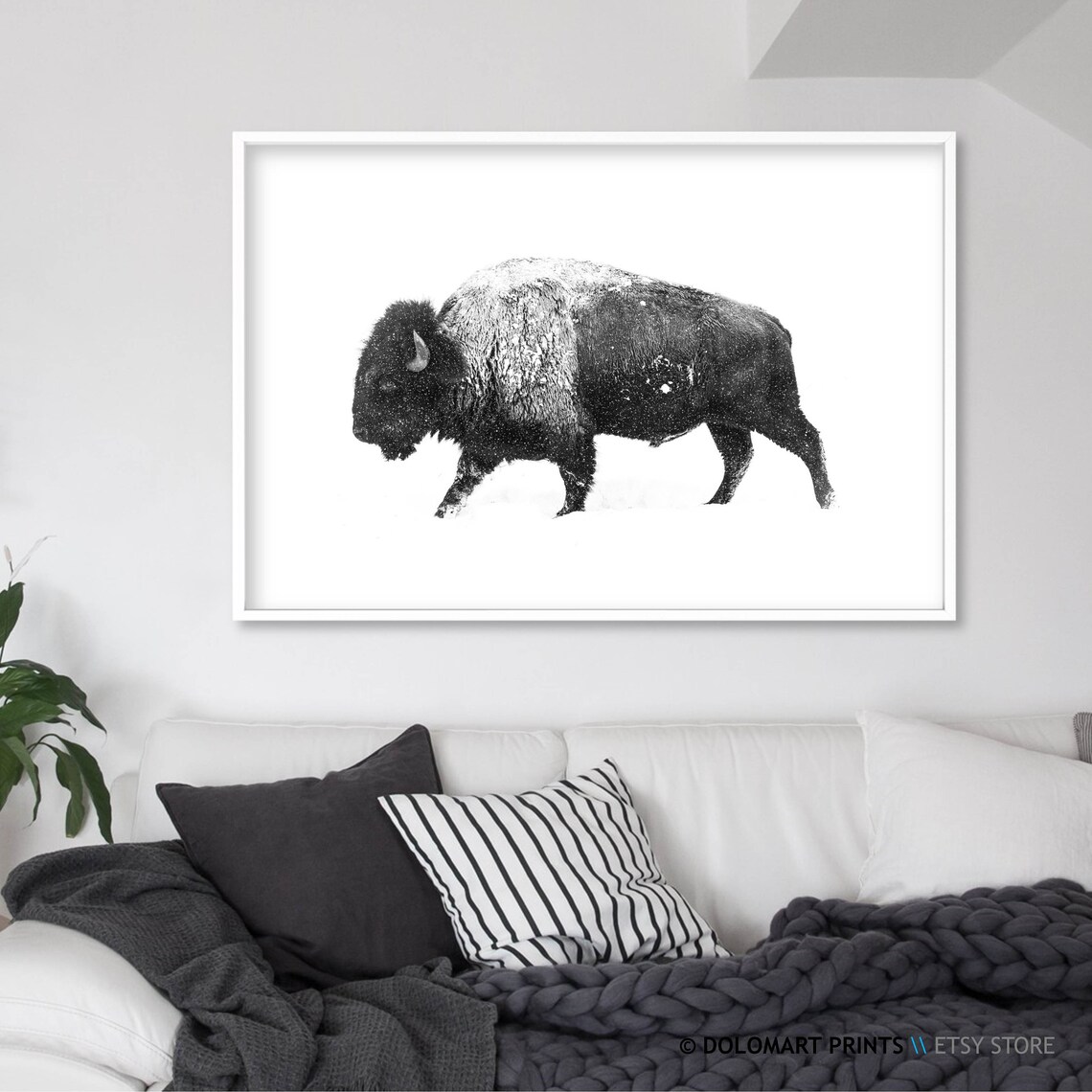 Bison Black and White Art Print, Wilderness Photography - Image 2
