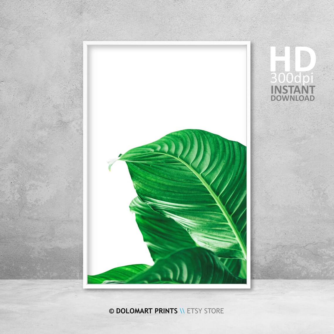 Tropical Art Greenery Wall Art Decor Green Leaf Photo Botanical Artwork Green Home Decor Tropical Leaves