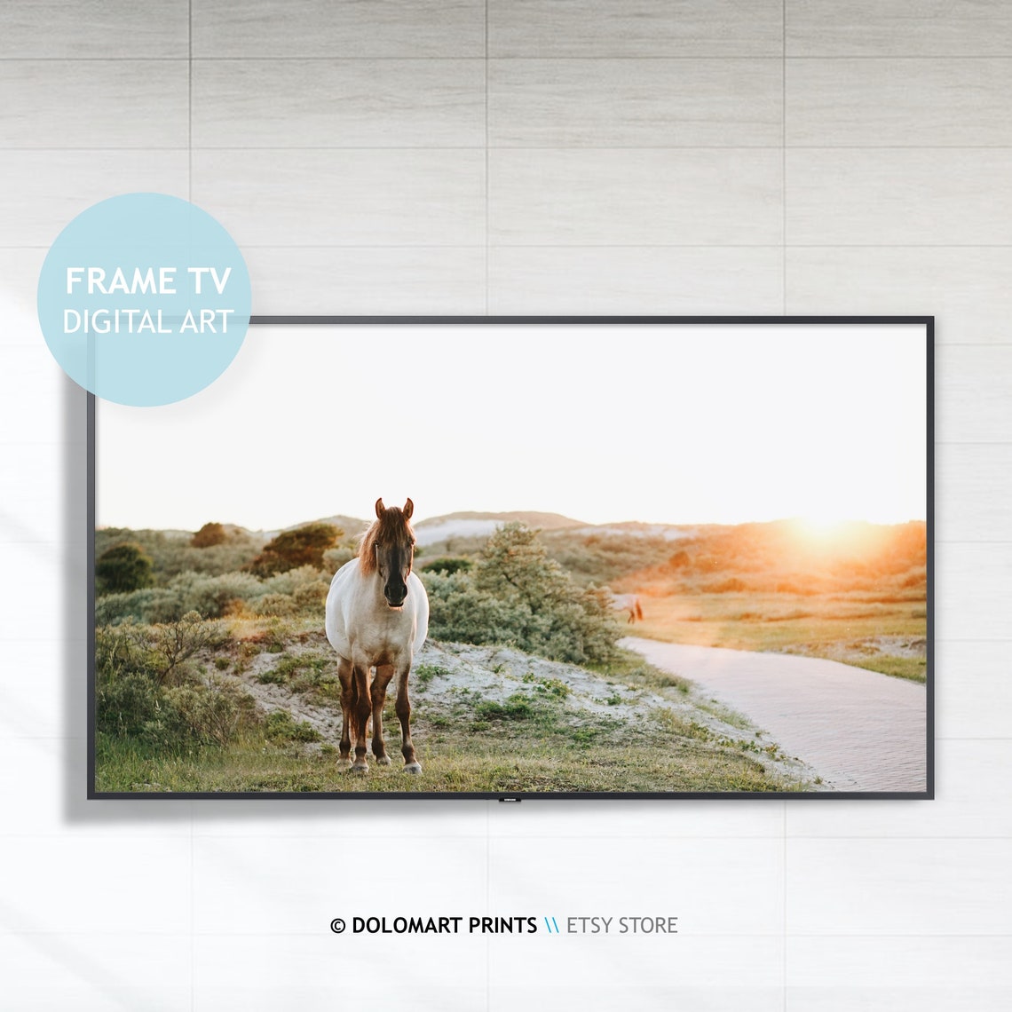 White Horse Sunset Field Golden Light Frame TV Digital Poster
