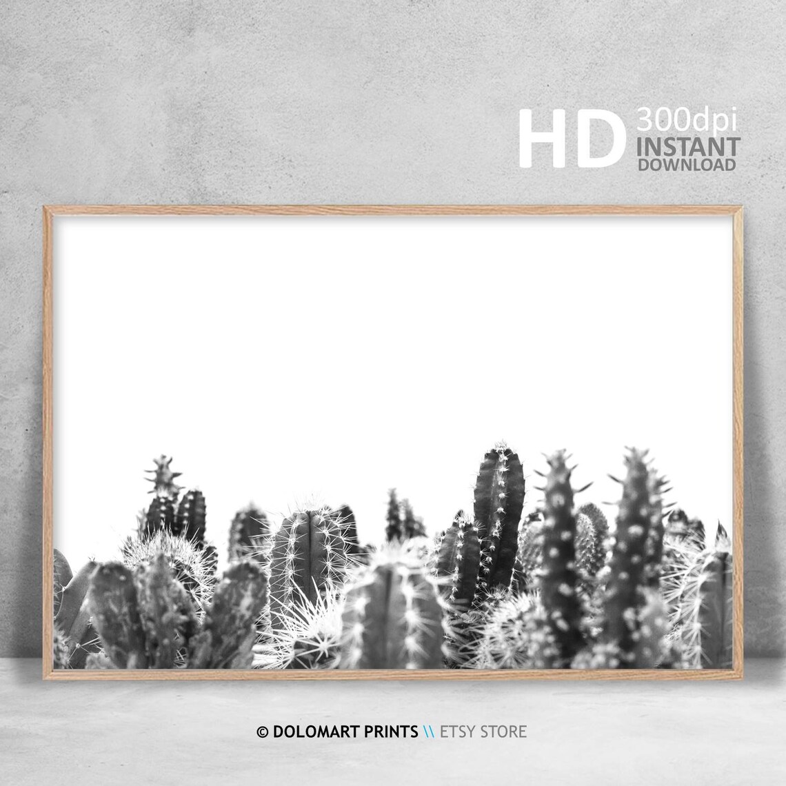 Black And White Cactus Print, Farmhouse Wall Decor - Image 3