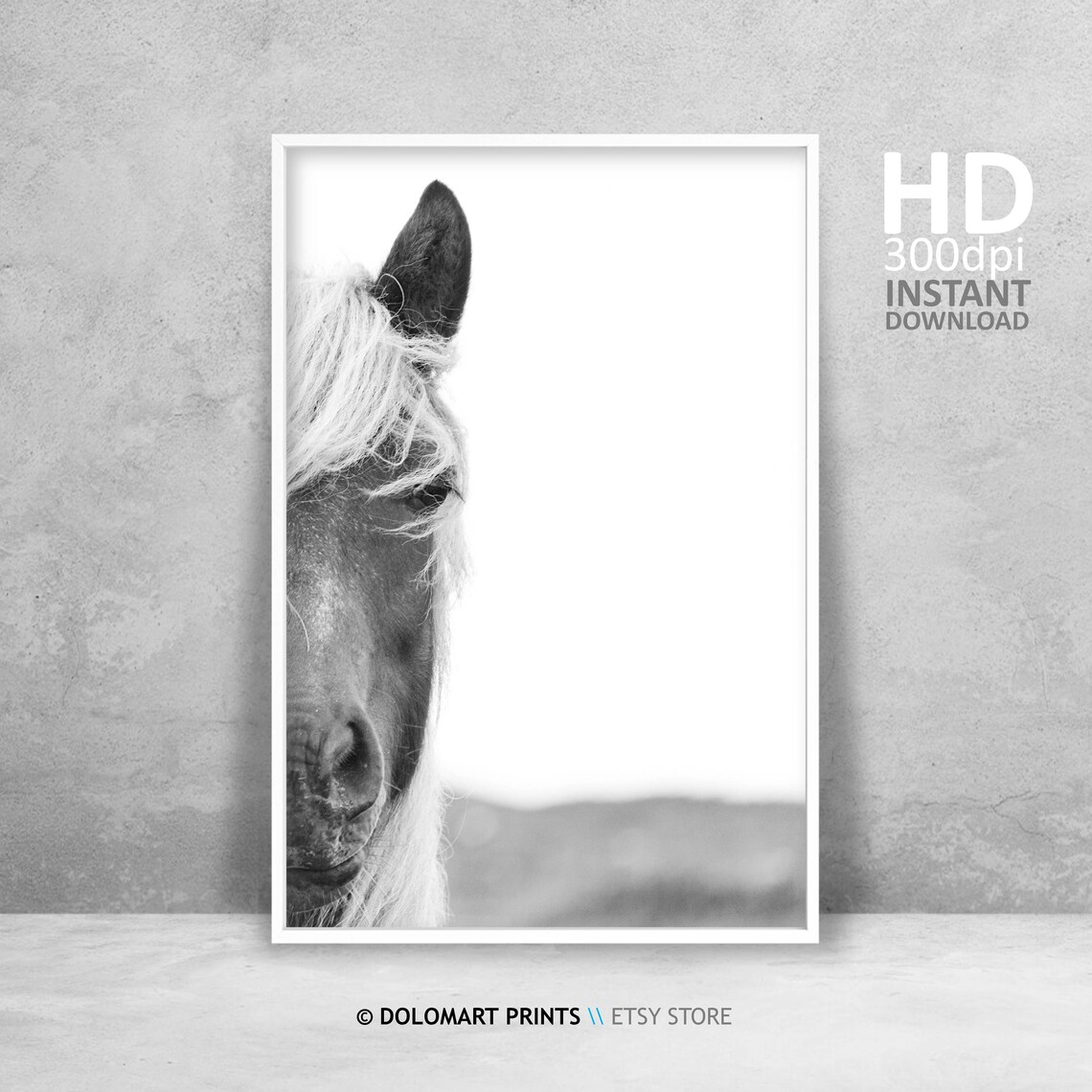 Wild Horse Wilderness Photography Art Print