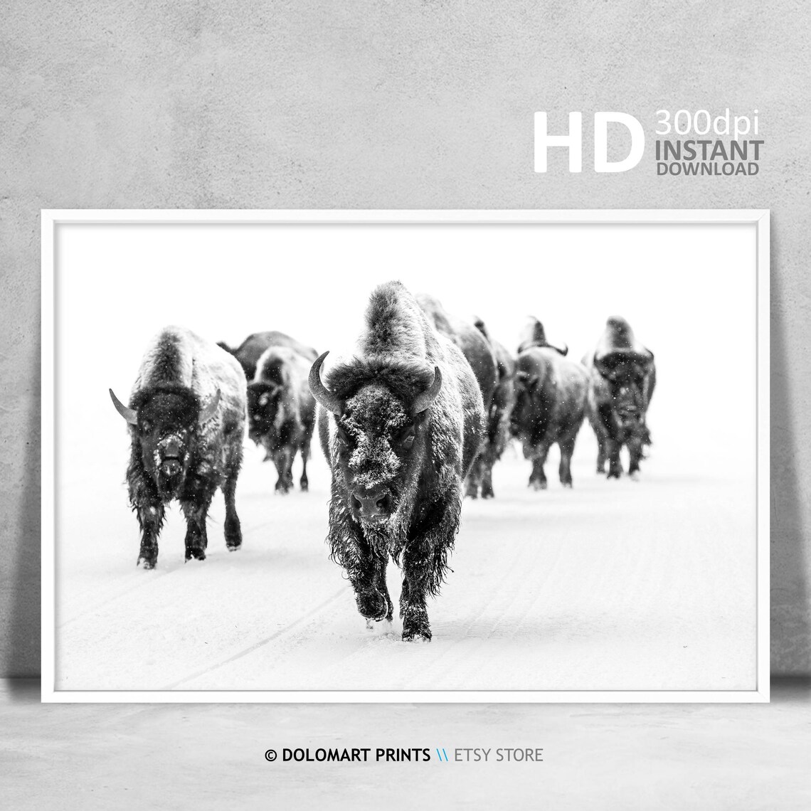 Black And White Bison Group Art Print, Farmhouse Decor