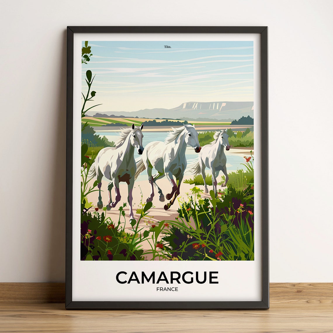 Camargue France White Horses Galloping Marshlands Travel Poster