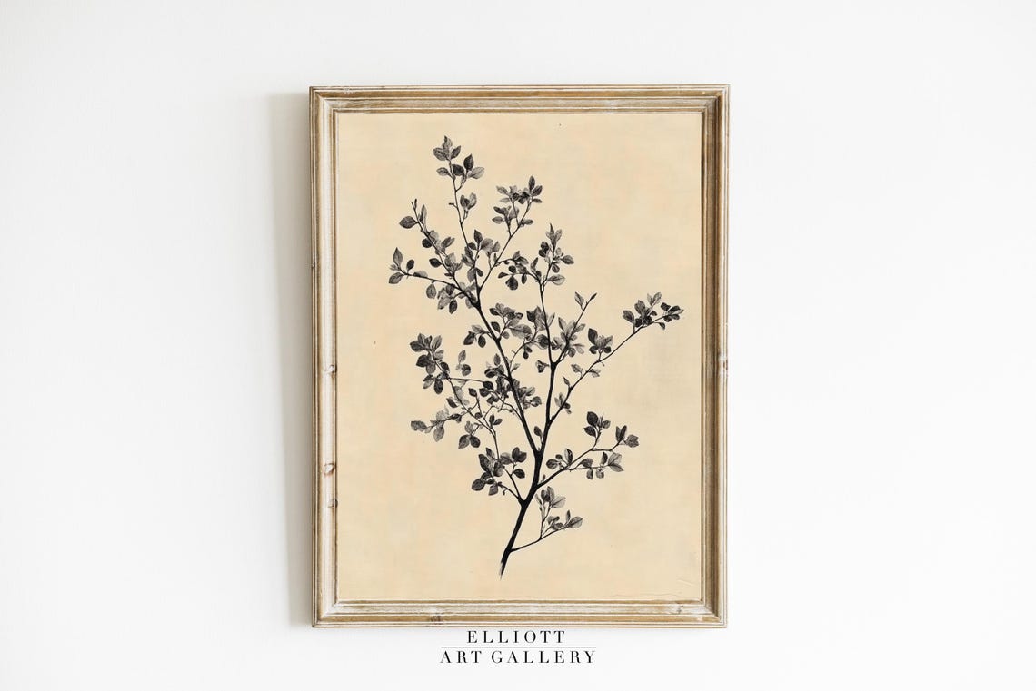 Vintage Botanical Branch Ink Sketch Leaf Study Minimalist Art Poster