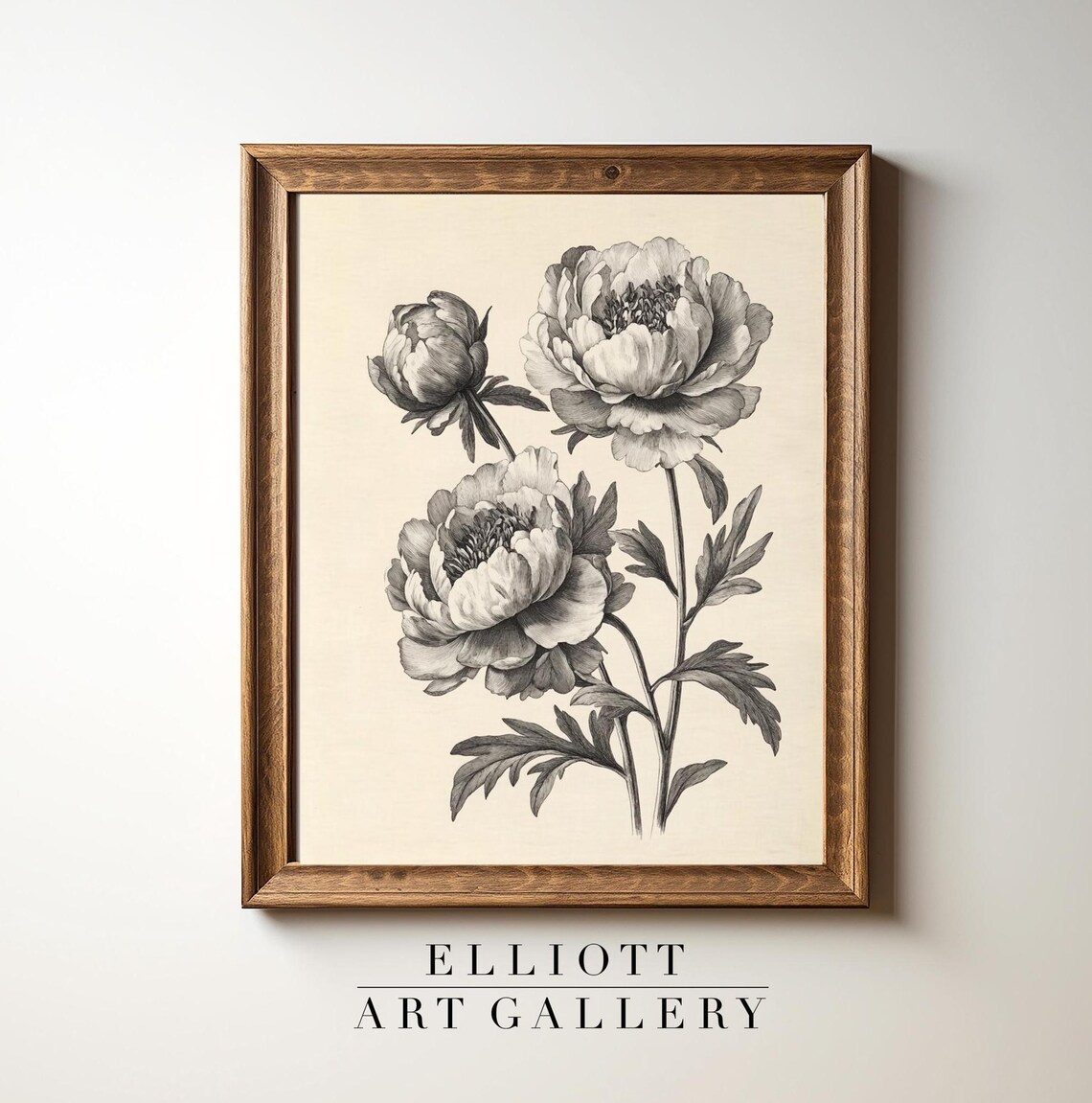 Antique Peony Sketch Botanical Art, Farmhouse Decor