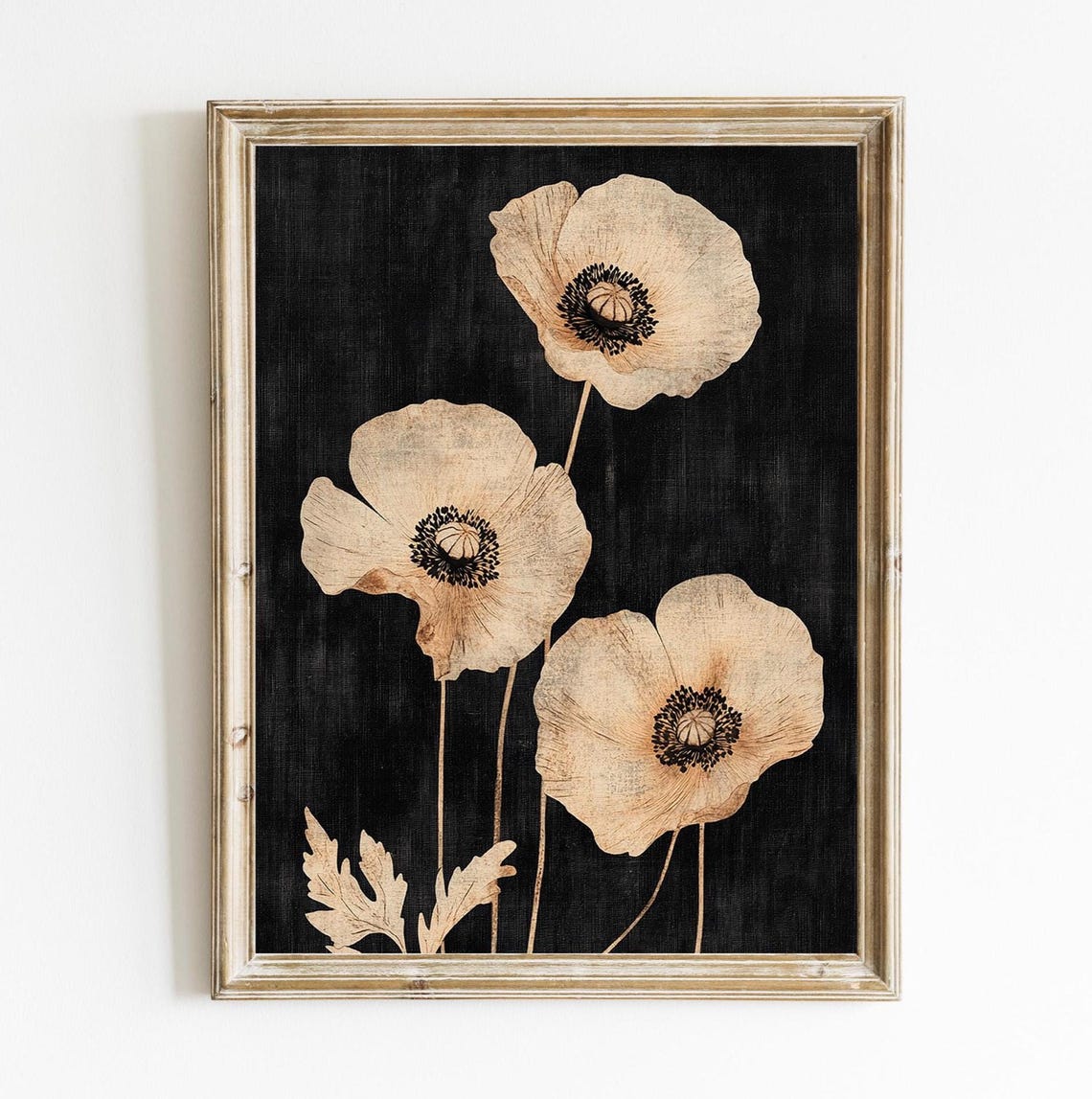 Three Beige Poppies on Black Vintage Botanical Flower Poster