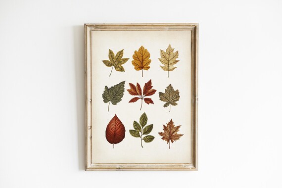 Rust Red Autumn Leaves Botanical Wall Art Vintage Pressed Foliage Study