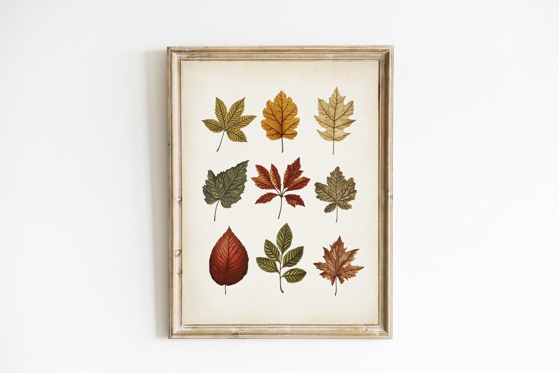Rust Red Autumn Leaves Botanical Wall Art Vintage Pressed Foliage Study