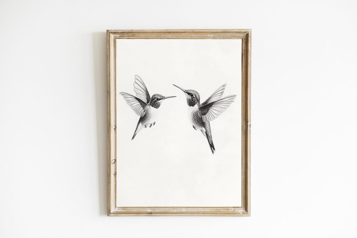 Two Hummingbirds Facing Each Other Black and White Sketch Art Print