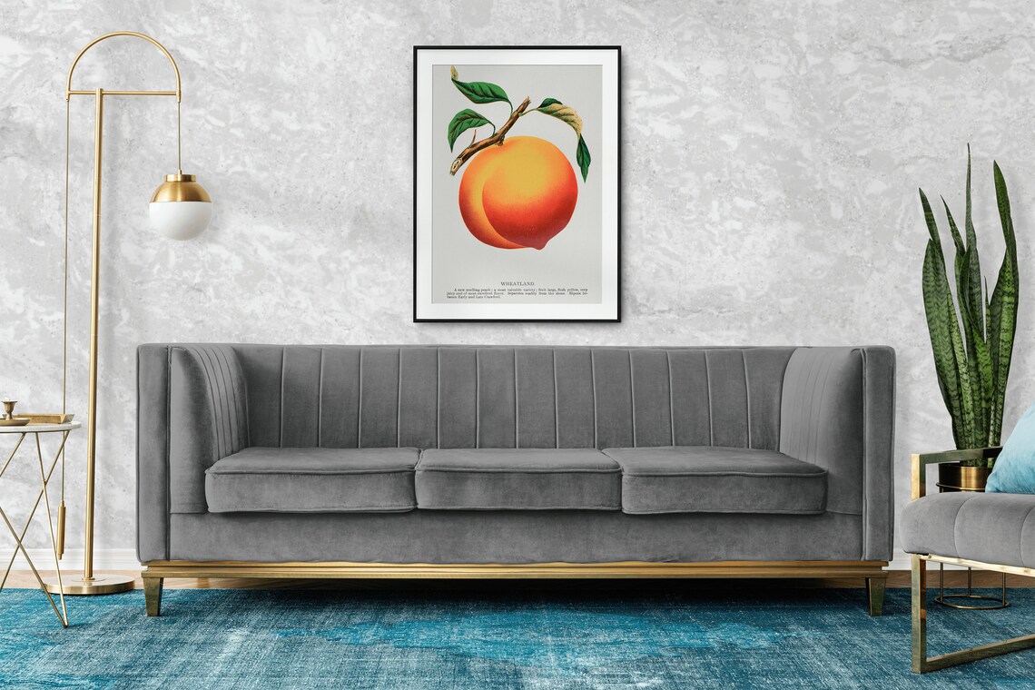 Vintage Peach Botanical Art Print, Classic Decor - Image 2