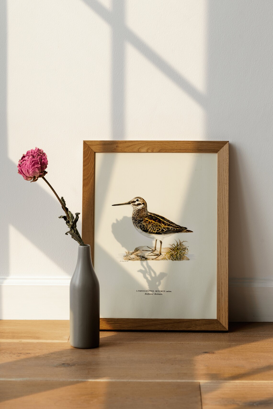 Jack Snipe Wader Bird Art Print, Vintage Nature Decor - Image 3