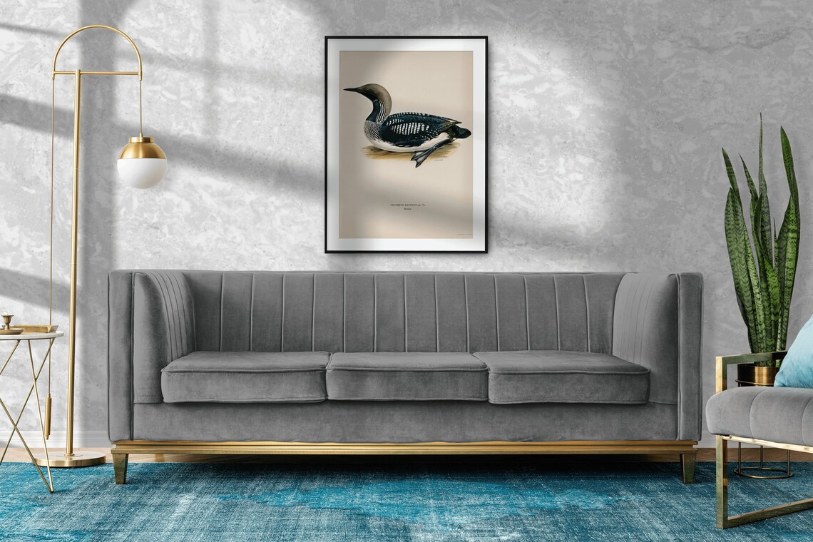 Black Throated Loon Vintage Swedish Ornithology Diver Bird Art Poster - Image 2