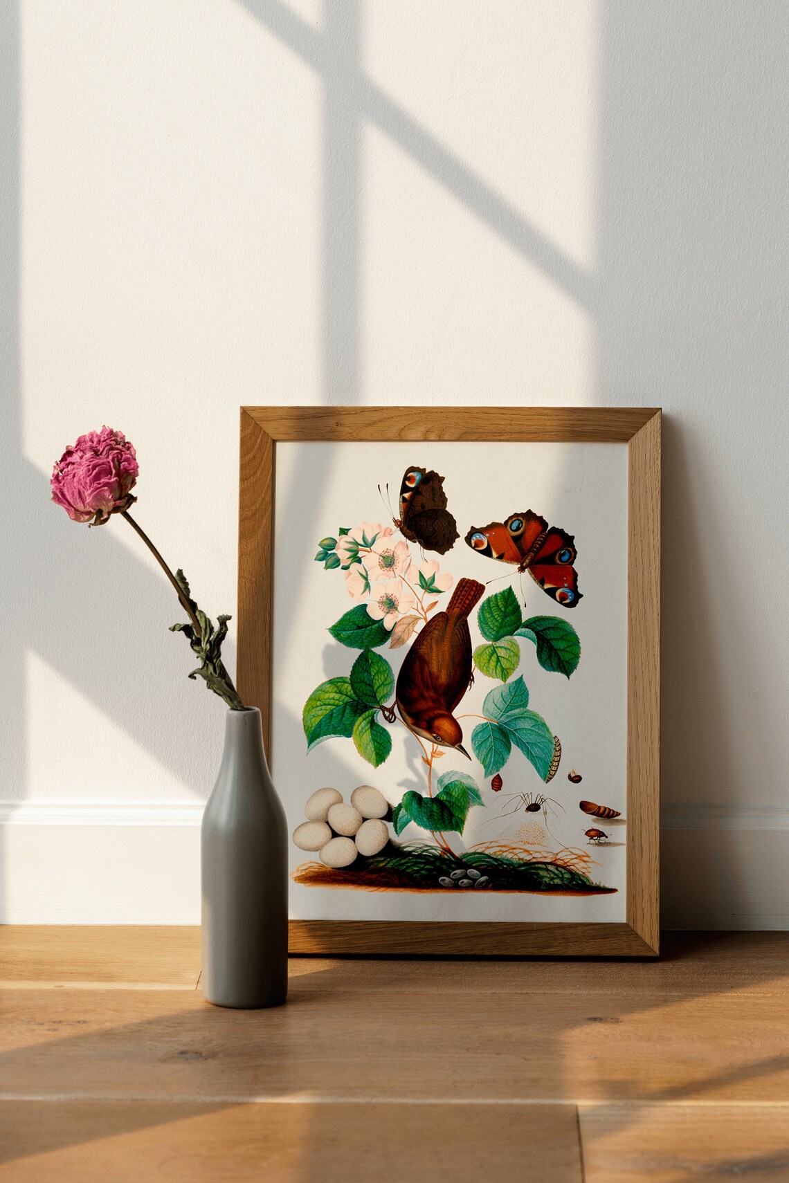 Vintage Songbird Butterflies Blossom Natural History Art Poster - Image 4