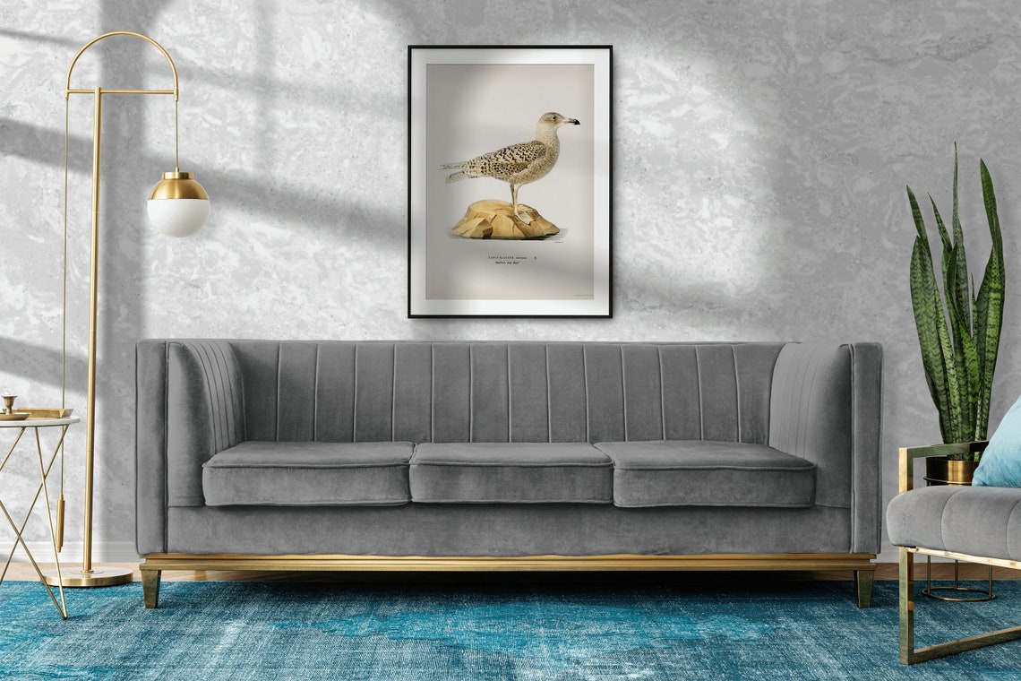 Glaucous Gull Vintage Swedish Ornithology Bird Illustration Poster - Image 2
