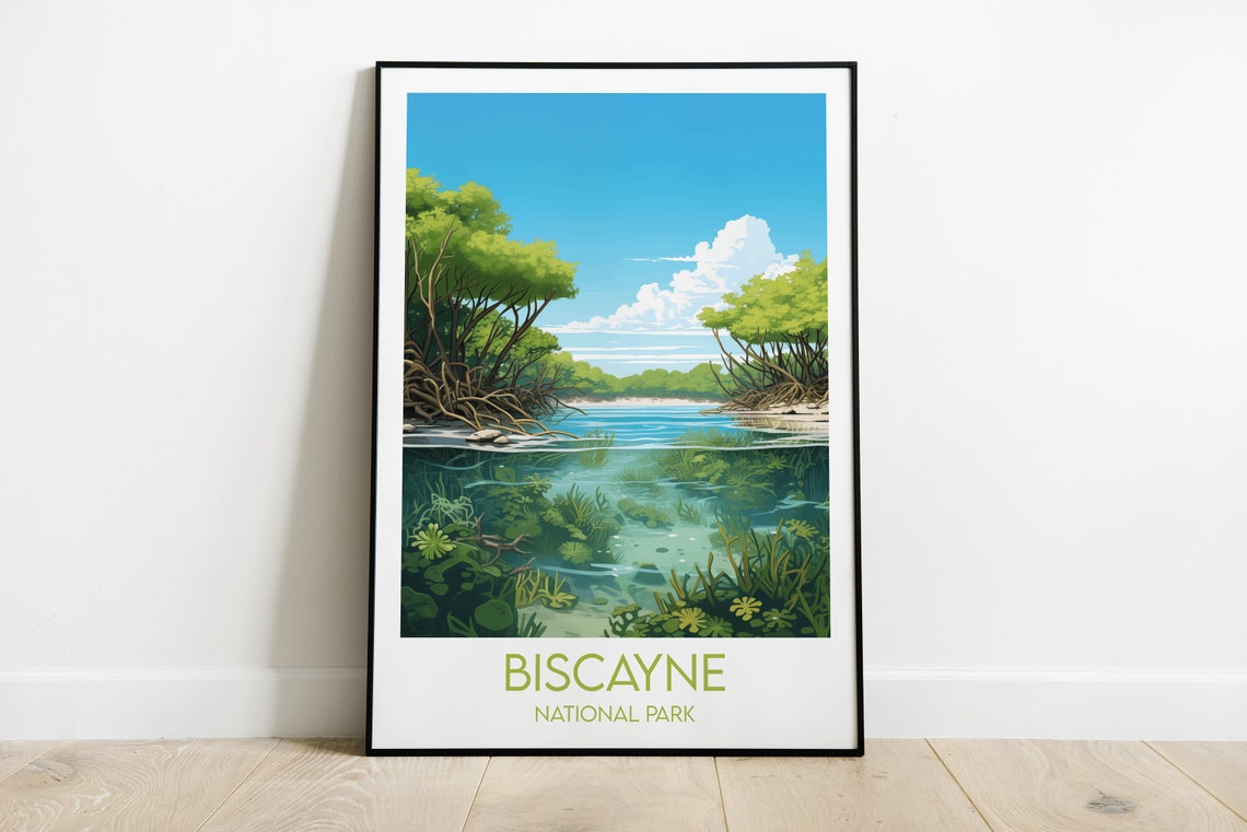 Biscayne National Park Mangrove Forest Underwater View Travel Poster