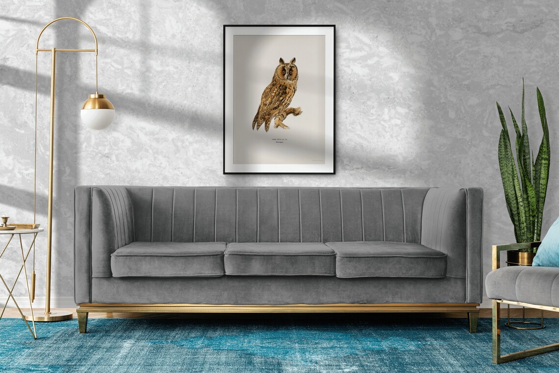 Long Eared Owl Bird Vintage Ornithology Illustration Art Print - Image 2