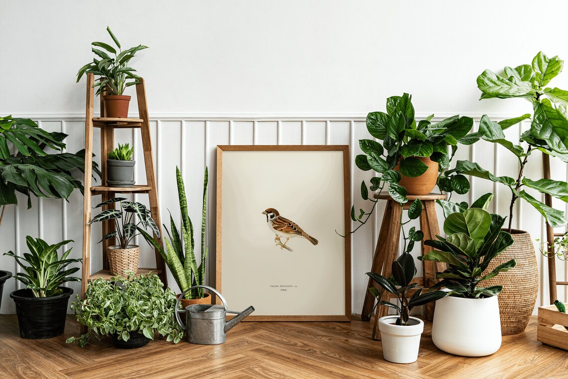 Tree Sparrow Vintage Nature Art Print Poster - Image 3