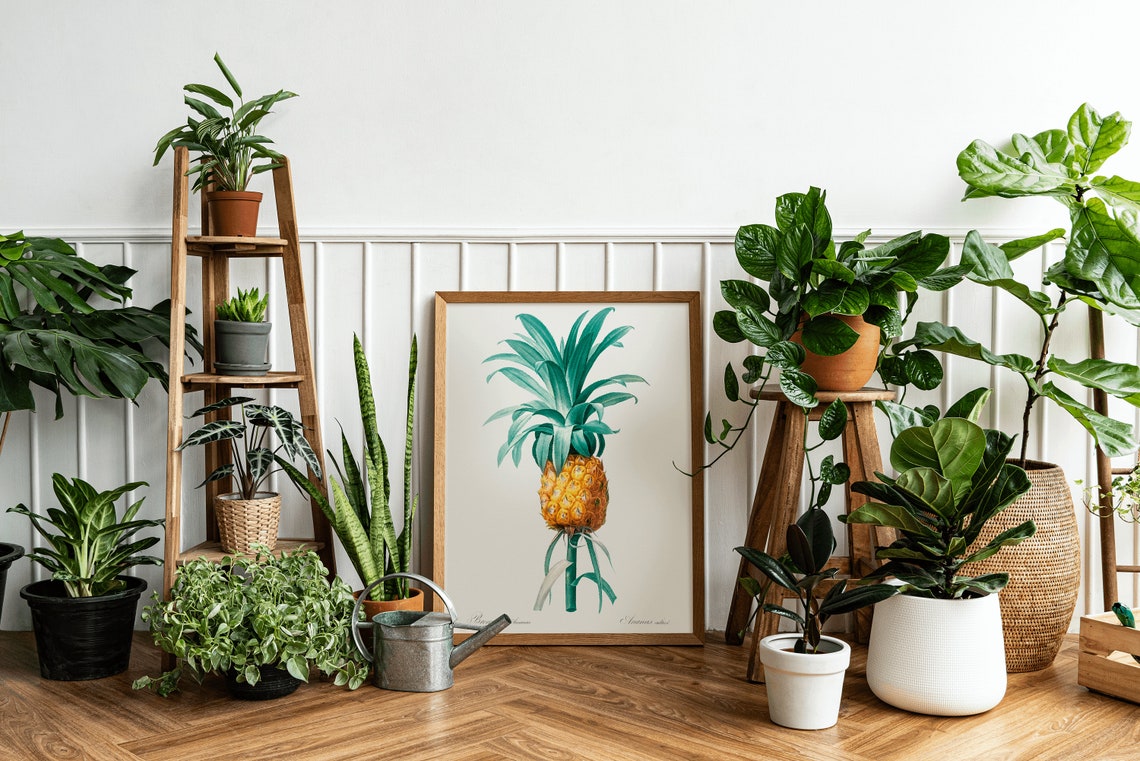 Pineapple Vintage Botanical Illustration Tropical Fruit Wall Poster - Image 3