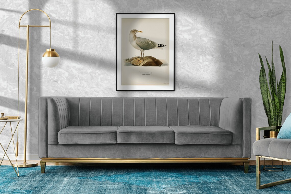 Classic Herring Gull Vintage Ornithological Illustration Poster - Image 2