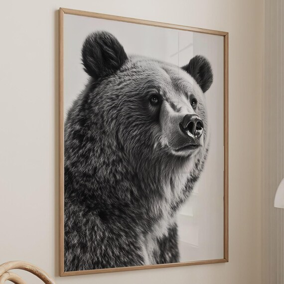 Black and White Brown Bear Profile Portrait Photography Poster