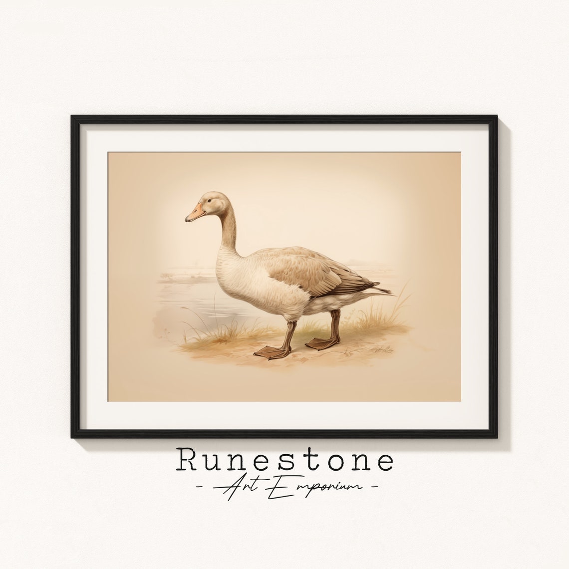 Vintage White Goose Antique Farmyard Bird Illustration Farm Art Poster