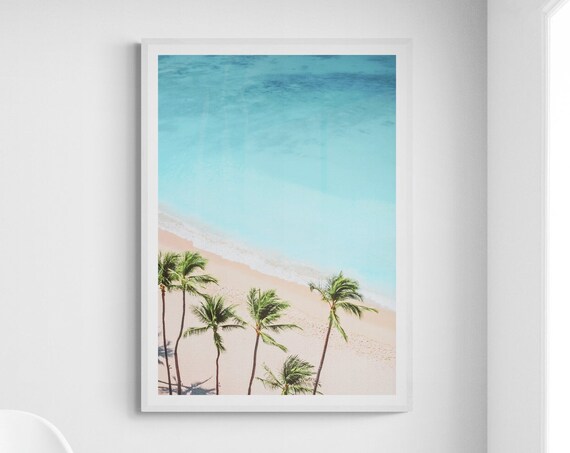 Aerial Beach Palms Turquoise Water Tropical Coastal Photo Poster