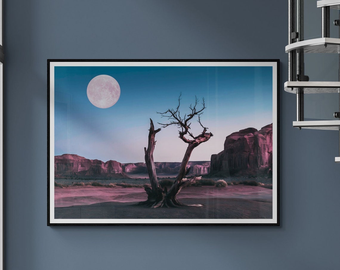 Desert Moon Fine Art Photo Of Dry Tree Under Moonlight Poster