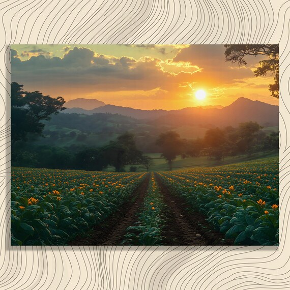 Vibrant Sunset Canvas Wall Art Countryside Print Tobacco Farm Blooms Mountain Skyline Golden Hour Nature Artwork Colorful Farmhouse Style