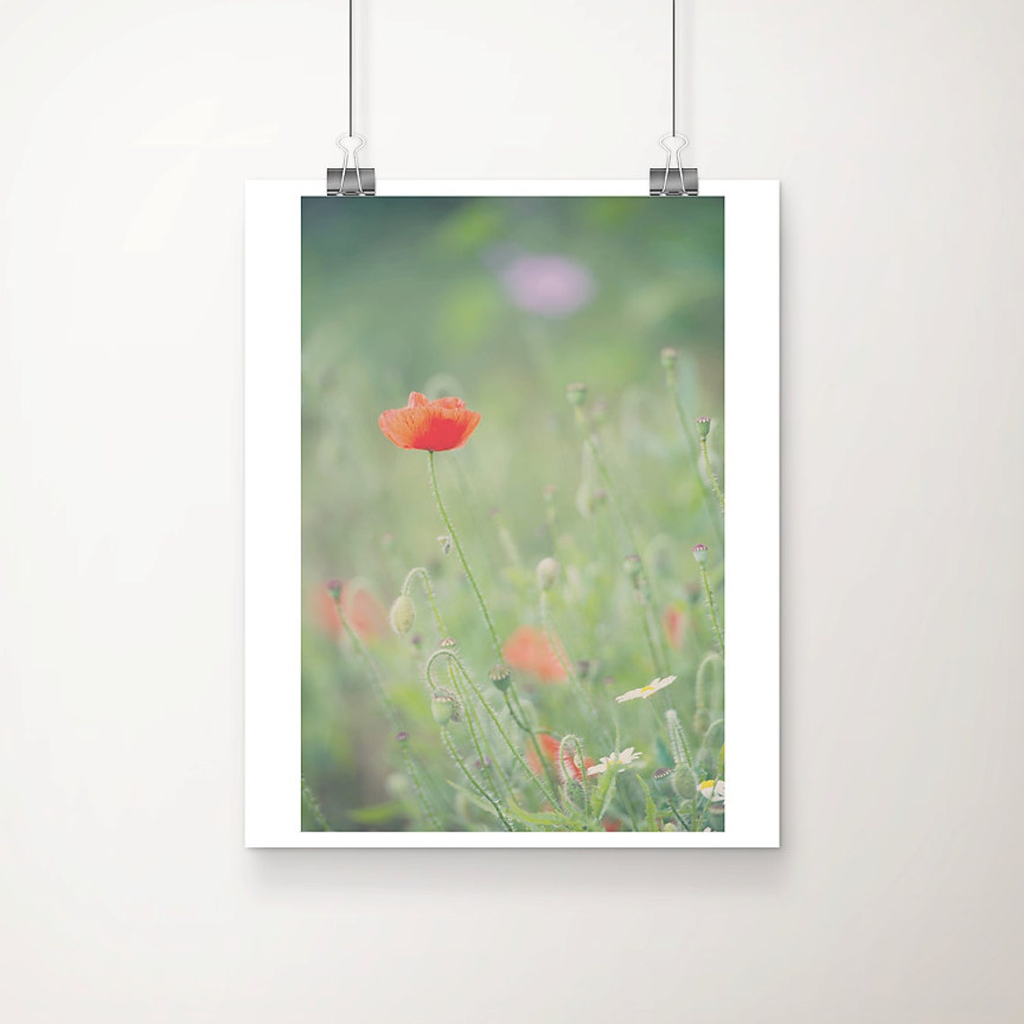 Red Poppy Wildflower Soft Garden Bloom Close-Up Photo Poster