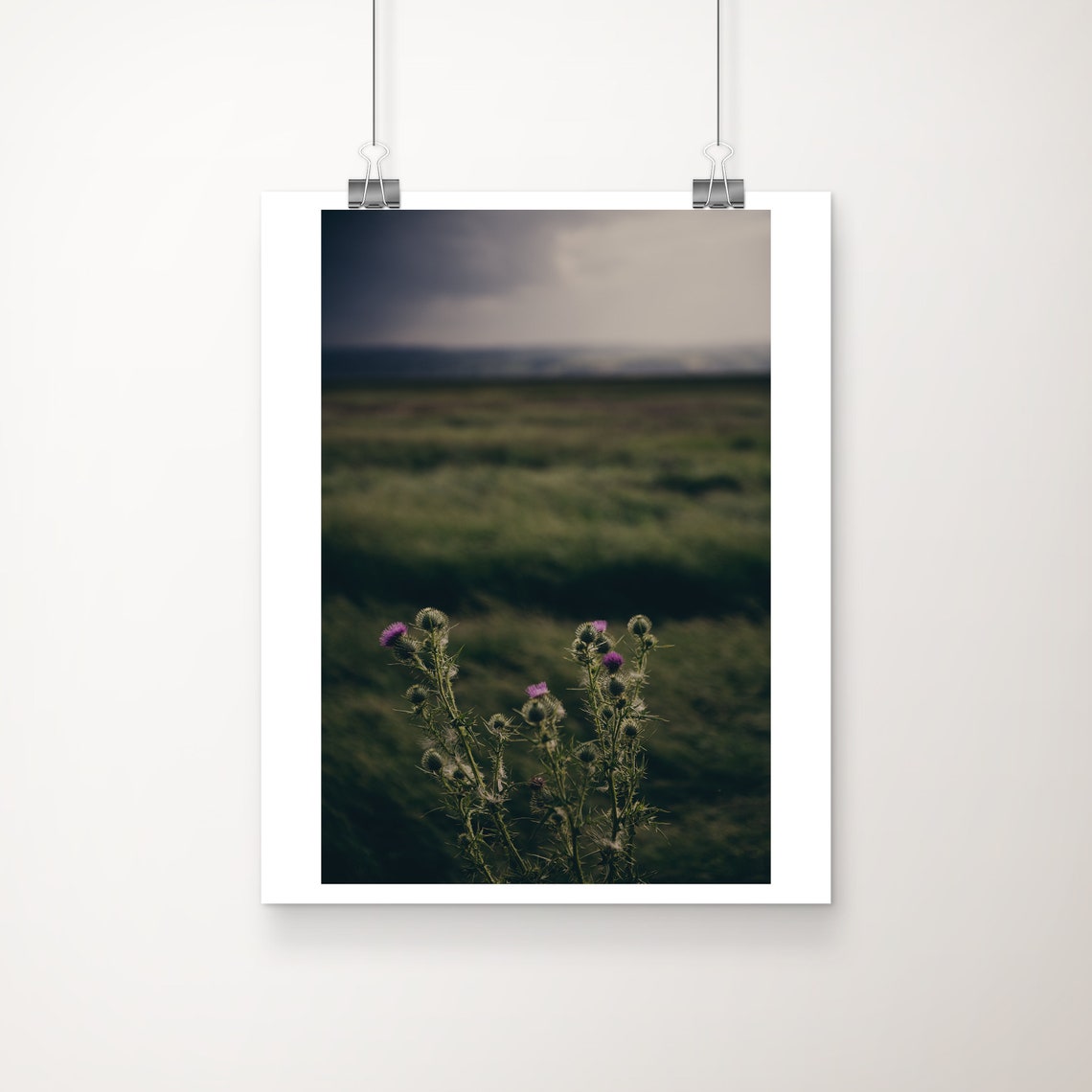 Parkgate Wirral Thistle Salt Marsh Moody Landscape Photo Print
