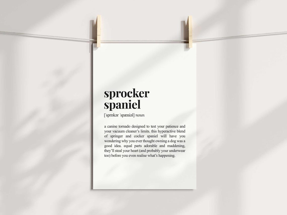Sprocker Spaniel Definition Funny Dog Lover Dictionary Poster - Image 3